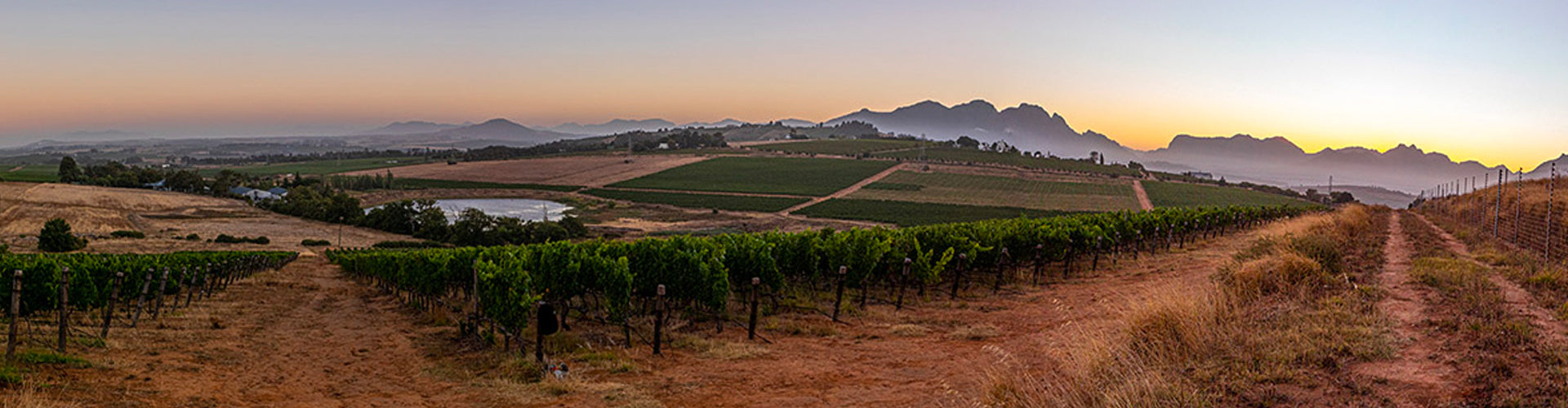 Hartenberg Wine Estate Vineyards in Stellenbosch, South Africa