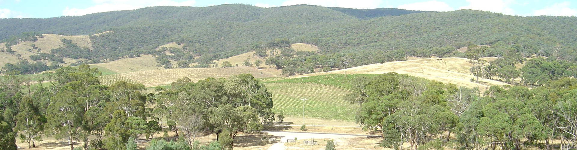 Vineyards in the Heathcote Region of Victoria