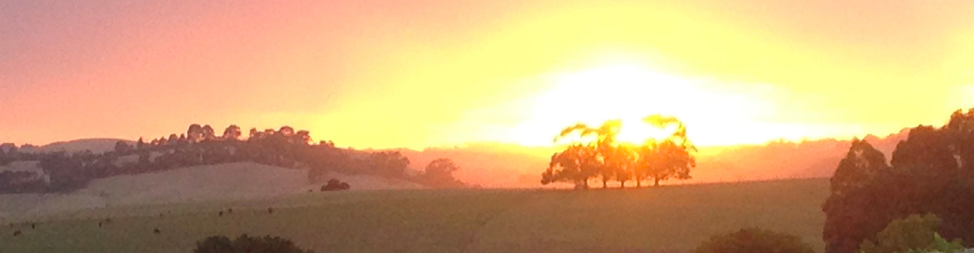 Daybreak over the Gippsland wine region of Victoria in Australia
