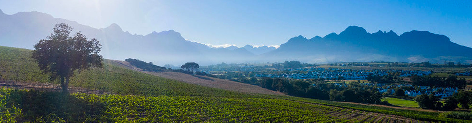 Kleine Zalze Vineyards in Stellenbosch, South Africa