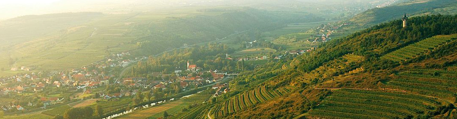 Vineyards in the Kamptal Wine Region of Austria