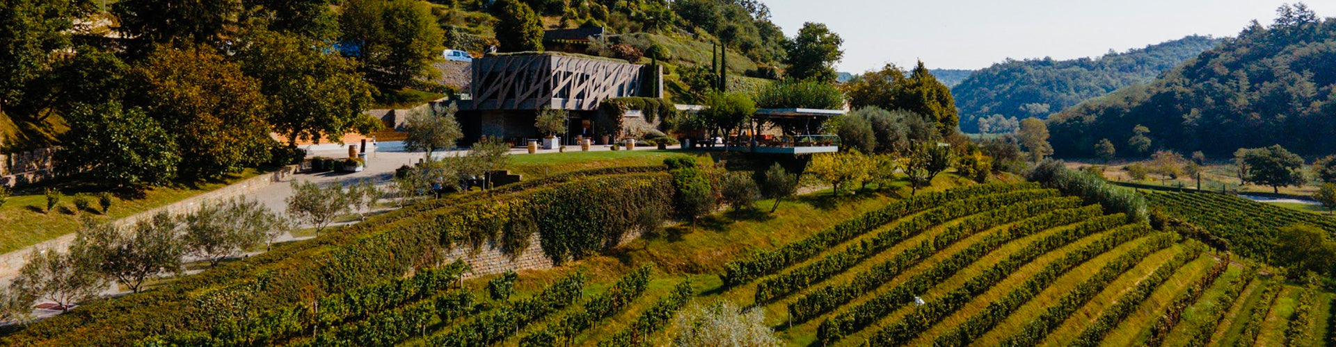 The Kozlović Winery and Vineyards in Istria, Croatia