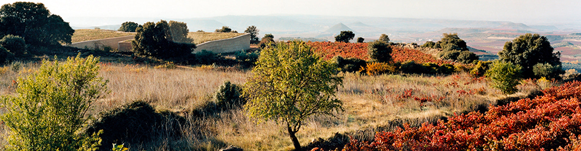 Bodega Lanzaga Vineyards in Rioja Alavesa, Spain