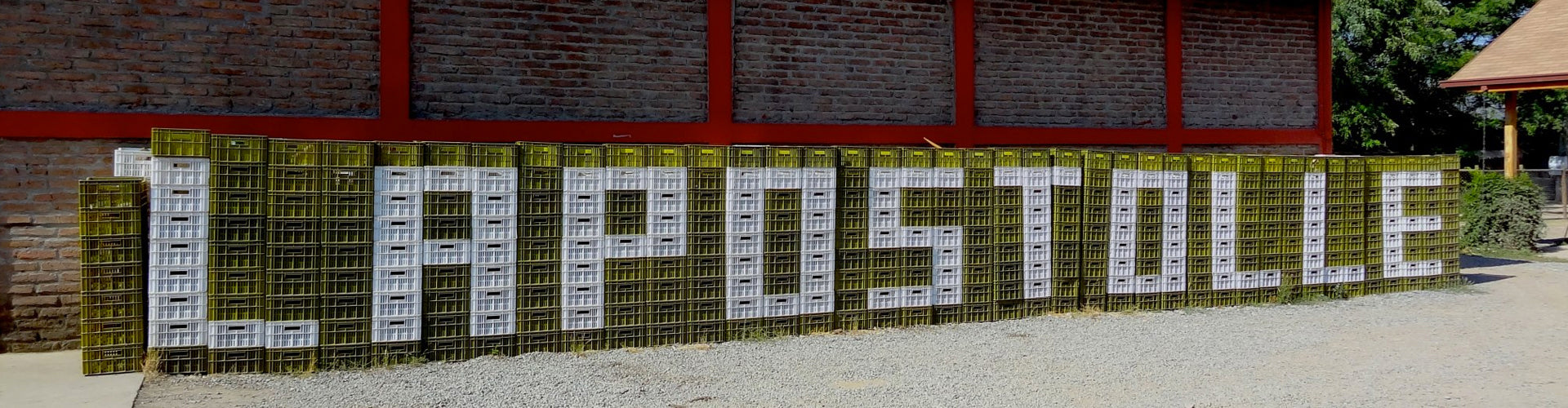 Grape harvest crates stacked in line spelling the word Lapostolle