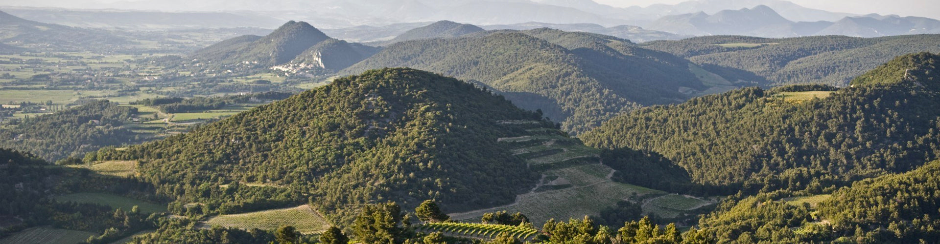 Domaine Les Pallières Vineyards to the north of the Dentelles de Montmirail, in the commune of Gigondas