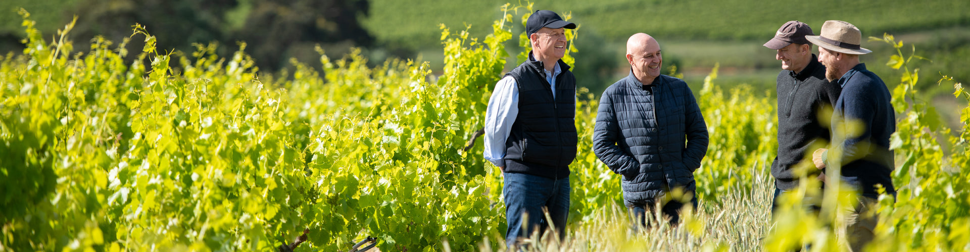 MMAD Owners Martin Shaw, Michael Hill-Smith MW, Adam Wadewitz and David LeMire MW in their Vineyard