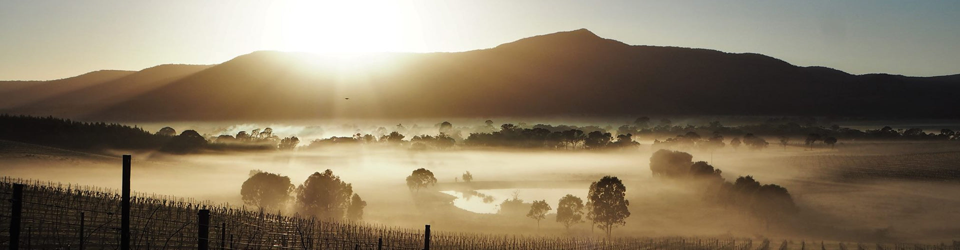 Mount Langi Ghiran Vineyards in Victoria State, Australia