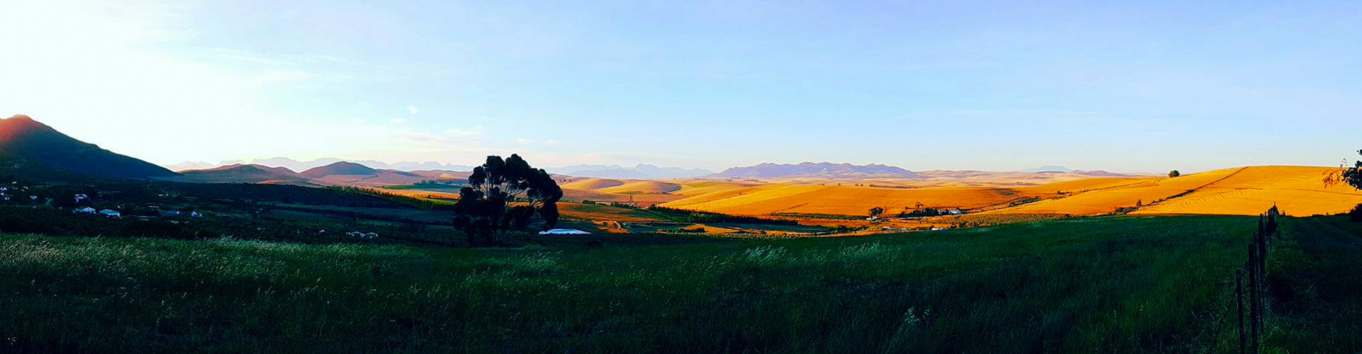 Mullineux Vineyards Swartland, South Africa