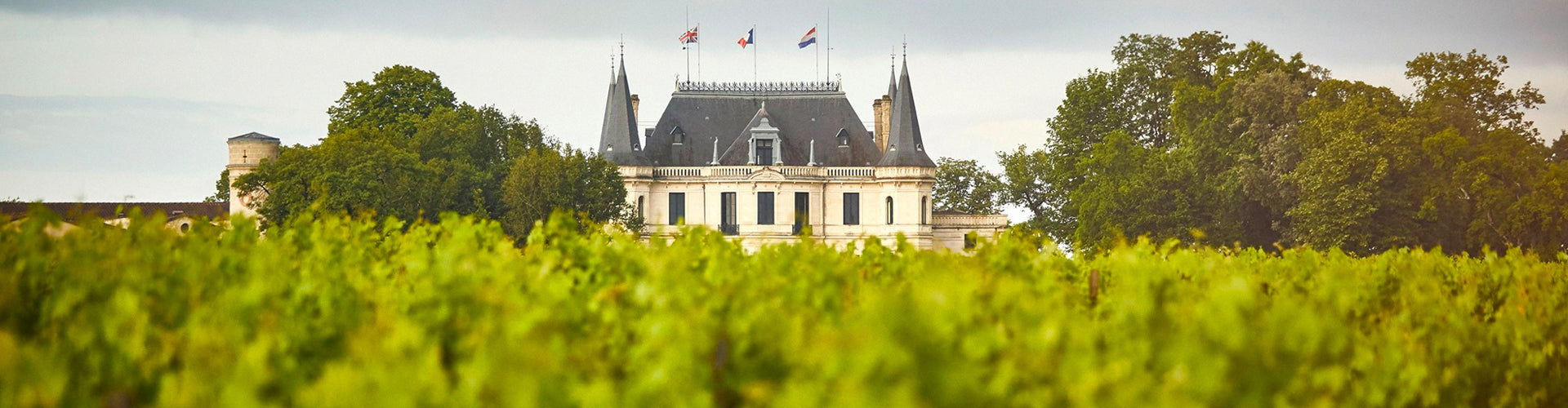 The Château Palmer estate in Margaux as viewed through the vineyards