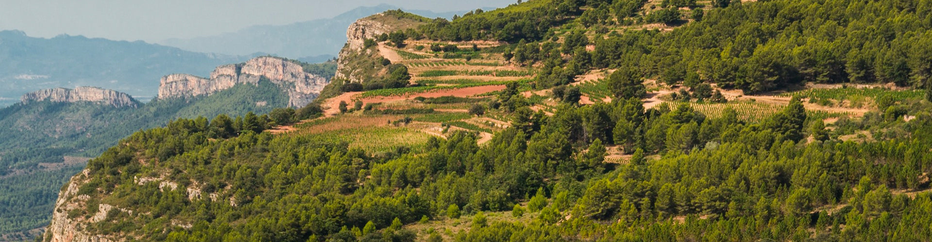 Scala Dei Vineyards in Priorat, Spain