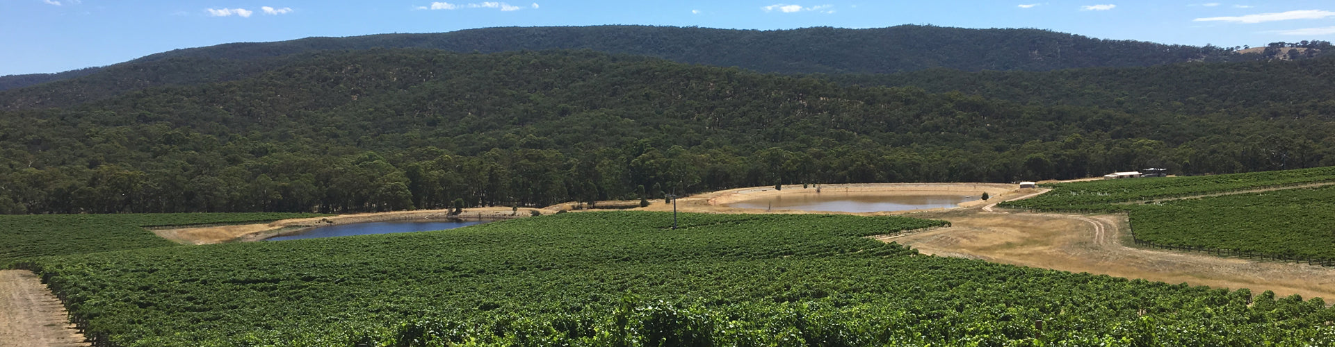 Domaine Tournon Shay's Flat Vineyard in Victoria's Pyrenees