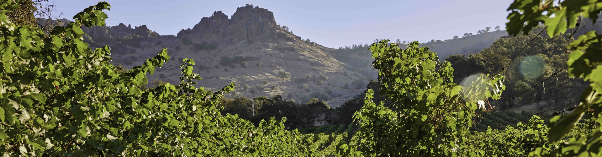 Stag's Leap Vineyard in California's Napa Valley