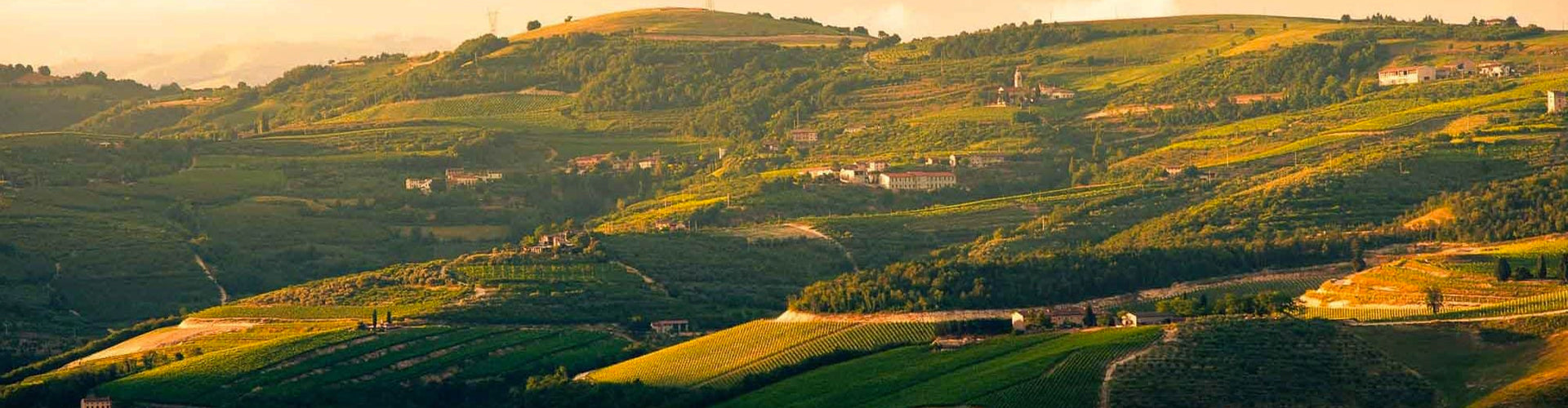 View of Valpolicella Vineyards in North East Italy