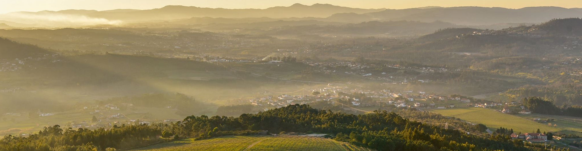 Vineyards of Vinho Verde's Monção e Melaço Sub-Region