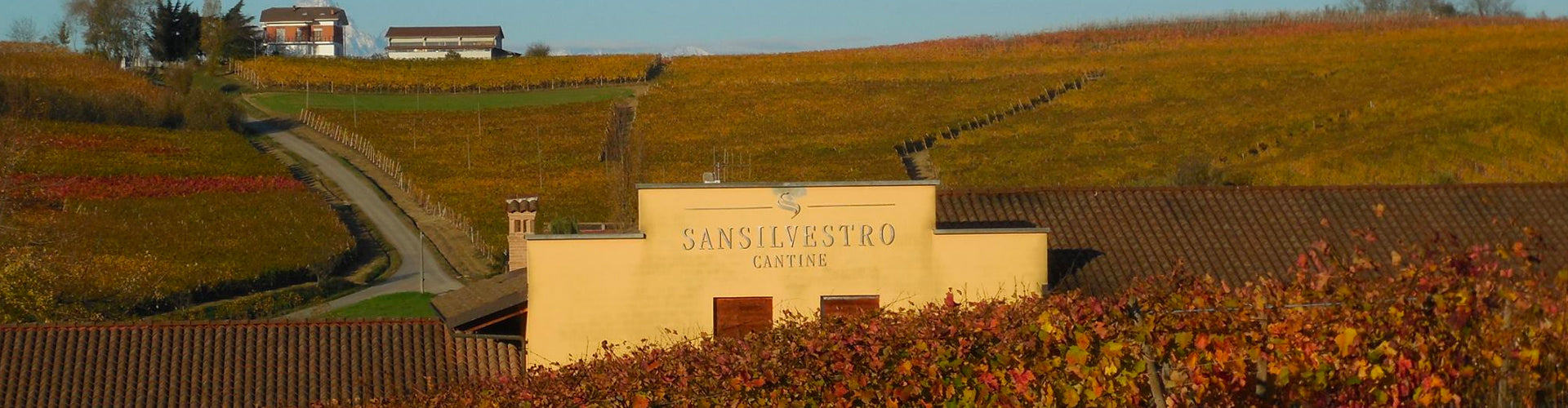 San Silvestro winery building amongst vineyards in Piemonte, Italy
