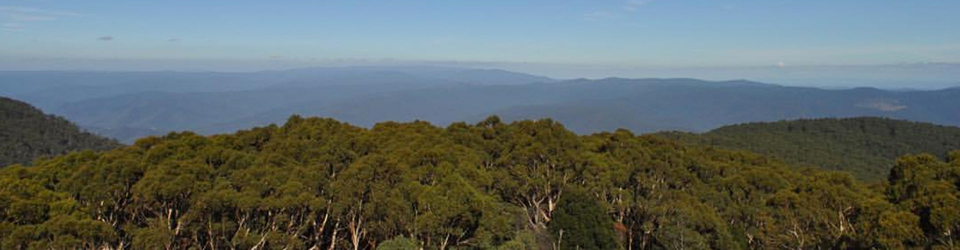 View from Mount Donna Buang Over the Yarra Valley