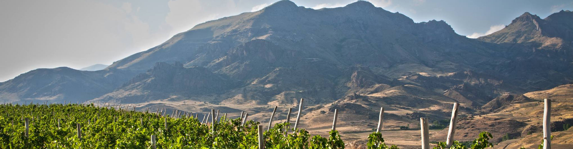 Zorah Vineyards in Armenia