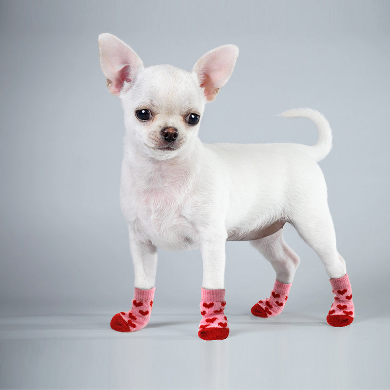 puppy shoes for winter