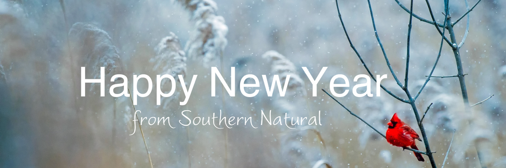 Happy New Year from Southern Natural