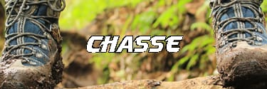 Destochasse