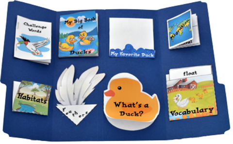 Duck Unit Study Guide 