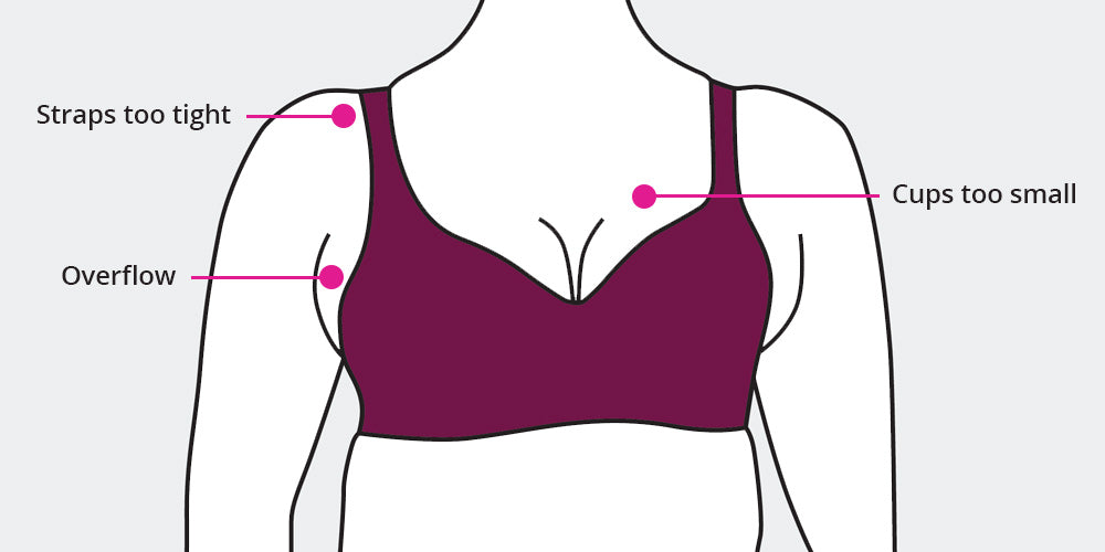 Everything you need to know about bras (including finding one that fits)