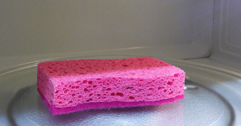 Pink sponge on microwave plate in a microwave