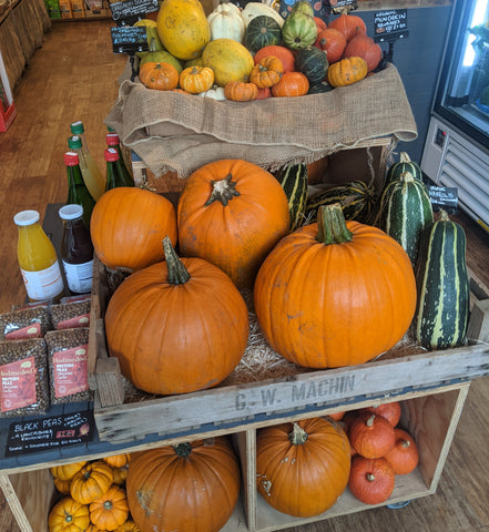 organic halloween pumpkins plentiful wholefoods