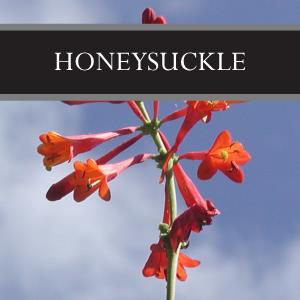 Honeysuckle Reed Diffuser