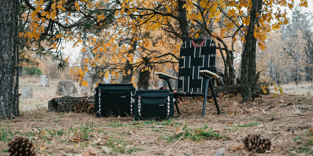 A backpack chair sitting under leaves with 2 coolers next to it camping