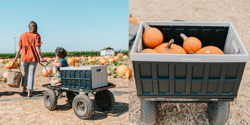 Woman pulling wagon with crate filled with pumpkins through pumpkin patch