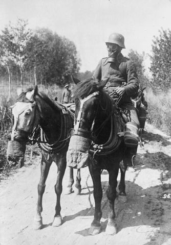 horses with gas masks