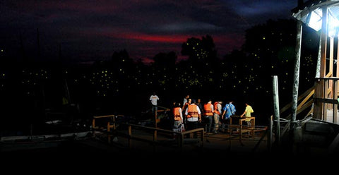 Fireflies Boat Ride at Kuala Selangor. Photo by Visit Selangor.