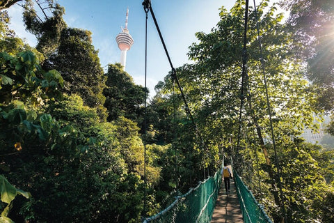 KL Eco Forest canopy walk. Photo by Malaysia.Travel.