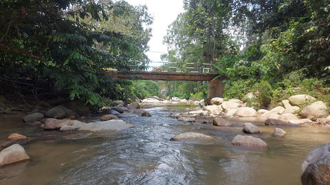 Kampung Kolam Air, a fun, family-friendly natural water recreational site. Photo by Jae Won.