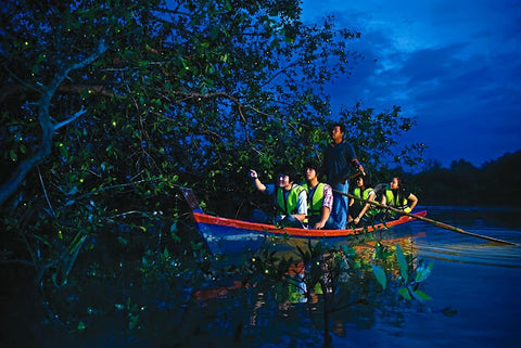 Kampung Kuantan Firefly Park boat ride. Photo by Hakim Shahrom on Google Images.