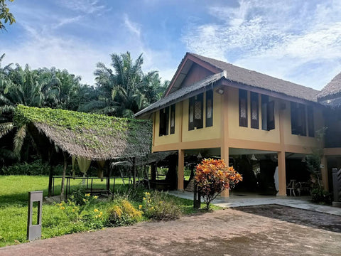 Mah Meri Cultural Village Home at Carey Island. Photo by Dd James.