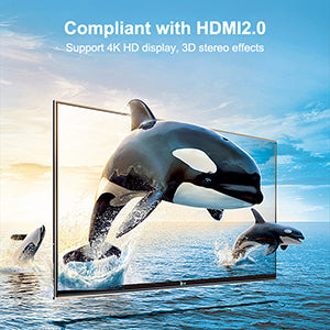 HDMI 90 Degree and 270 Degree Adapter