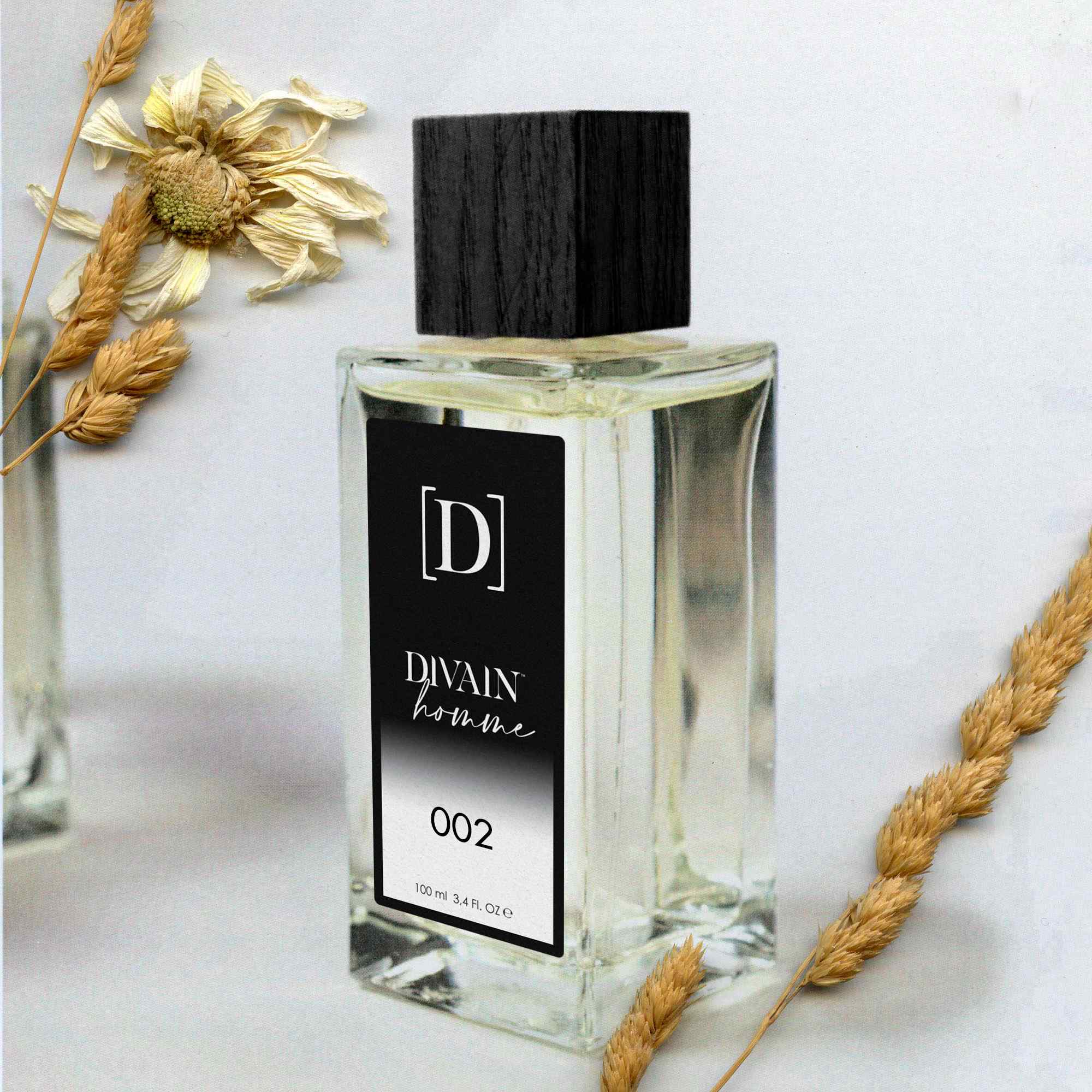 Catalogue with the best perfumes for men