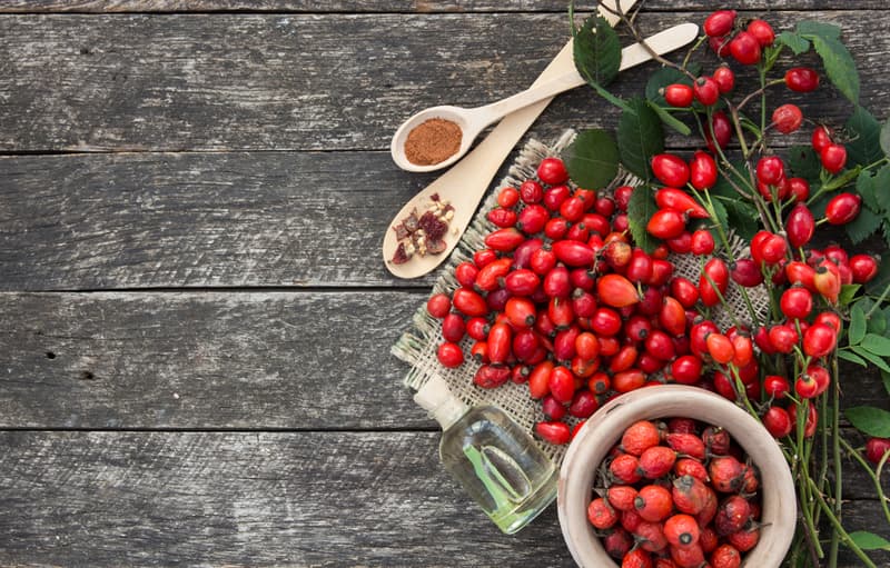 properties and benefits of rosehip oil