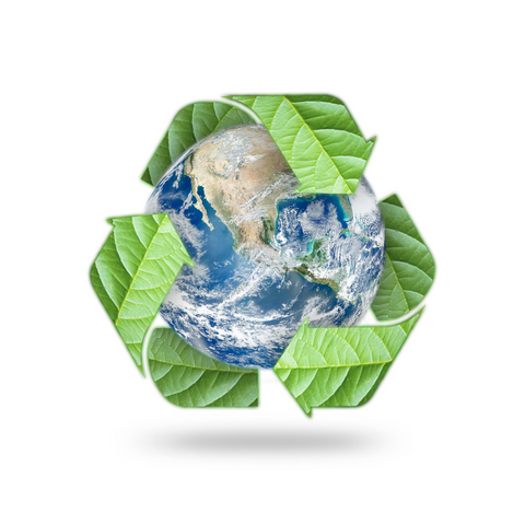 earth day recycle sustainability sneaker clean maintain