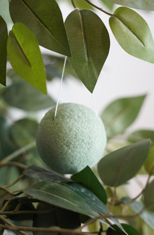 Konjac Sponge for exfoliation of the skin/face on sale for Boxing day deals 2019 - Lierre.ca Canada