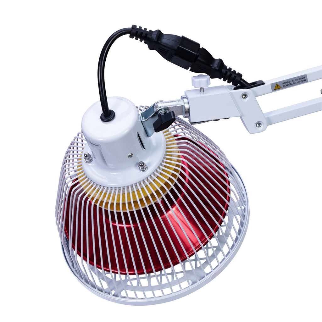 tdp lamp replacement head