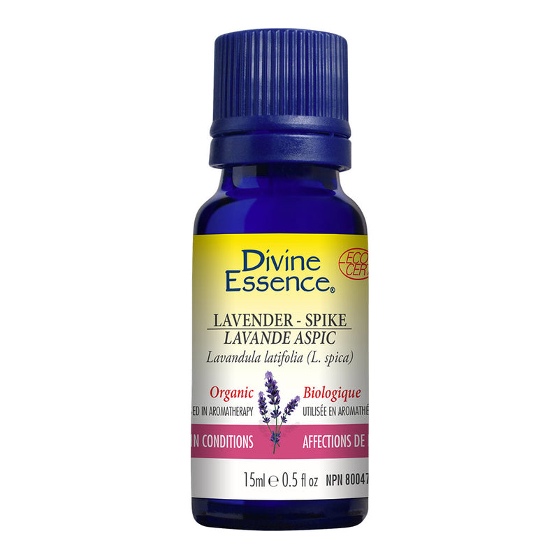 Lavender Spike Organic Essential Oil 15ml Divine Essence