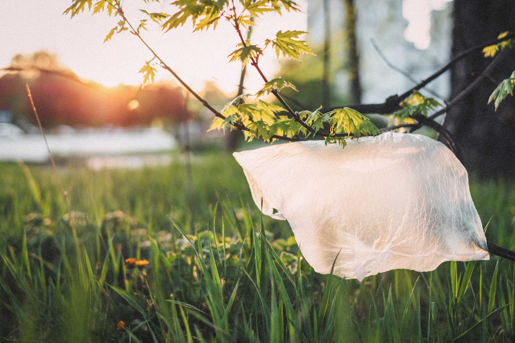 Plastic pollution - plastic bag