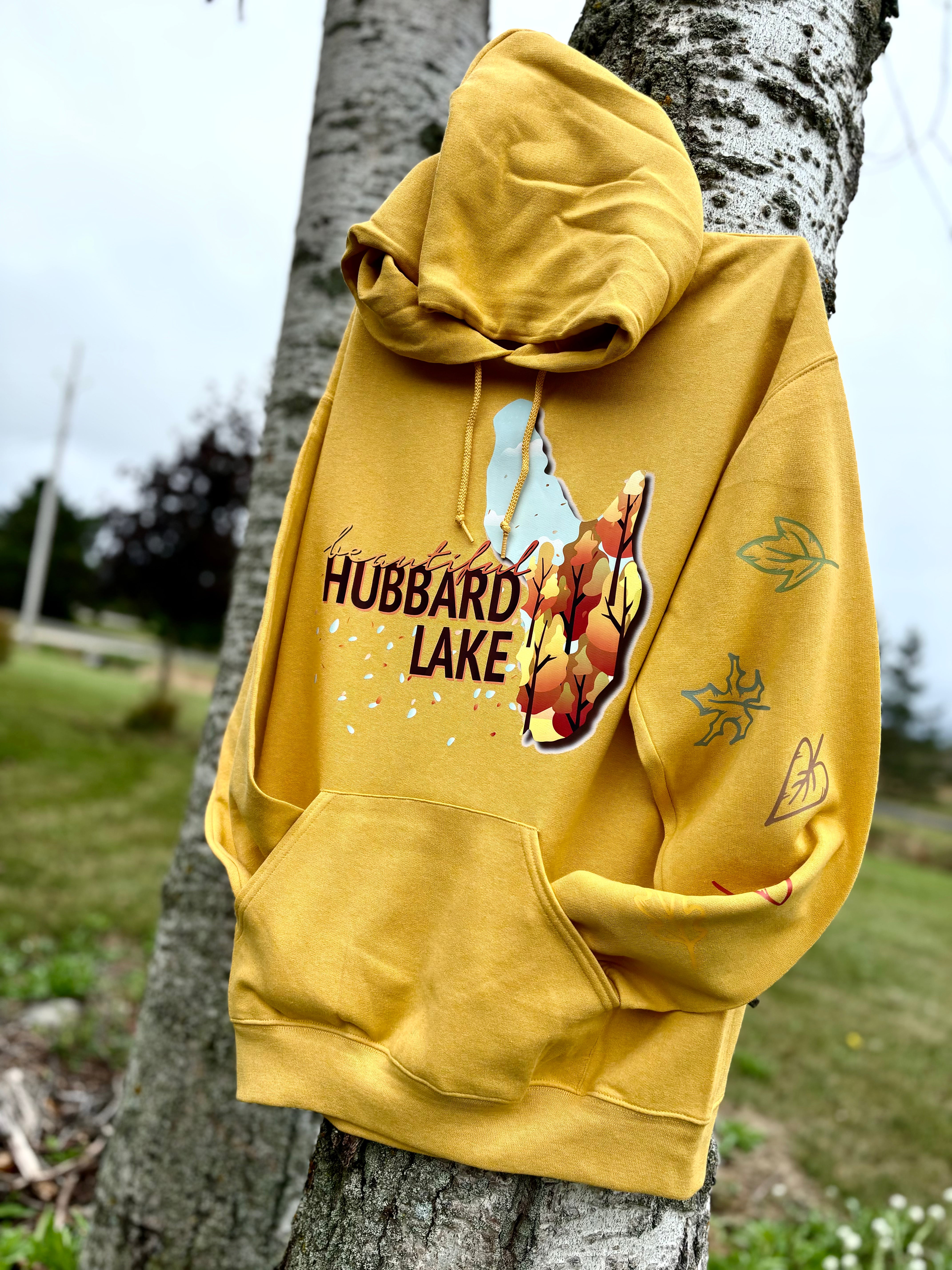Fall Hubbard Lake