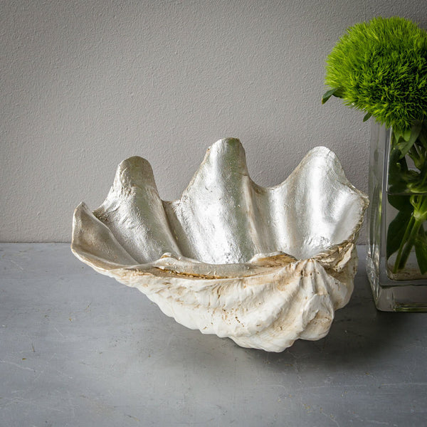 Extra Large Giant Clam Shell in Tobacco