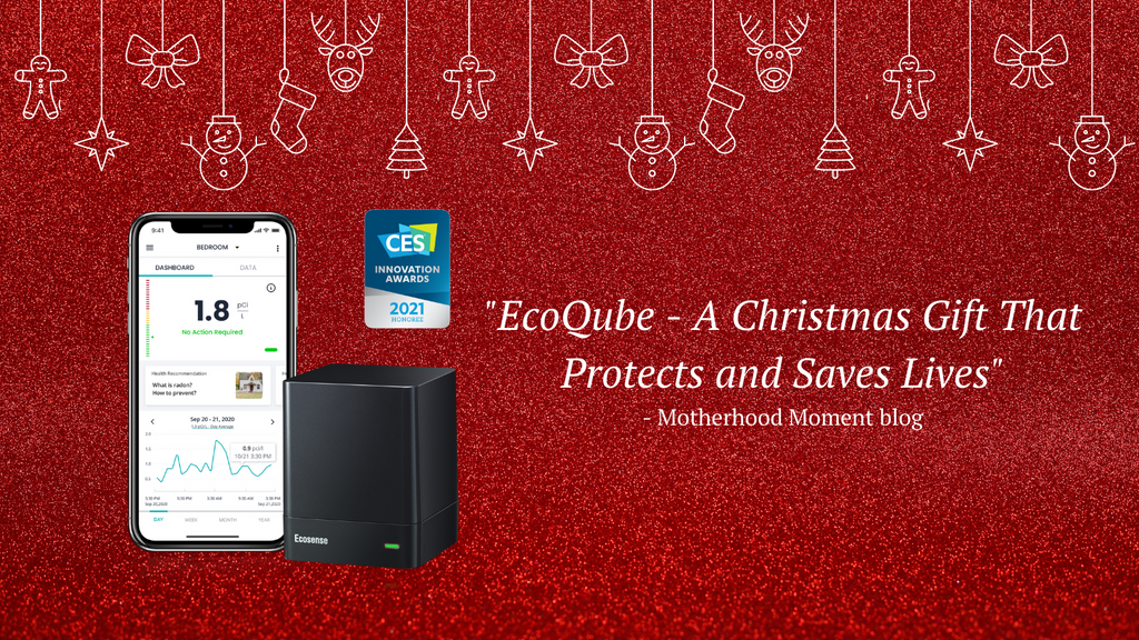 EcoQube, cadeau de Noël