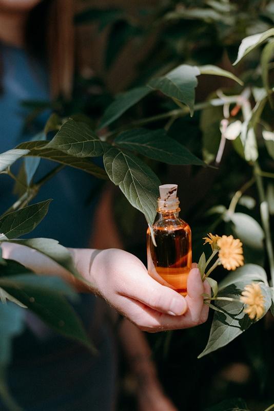 Macérât huileux de calendula | Les Mauvaises Herbes