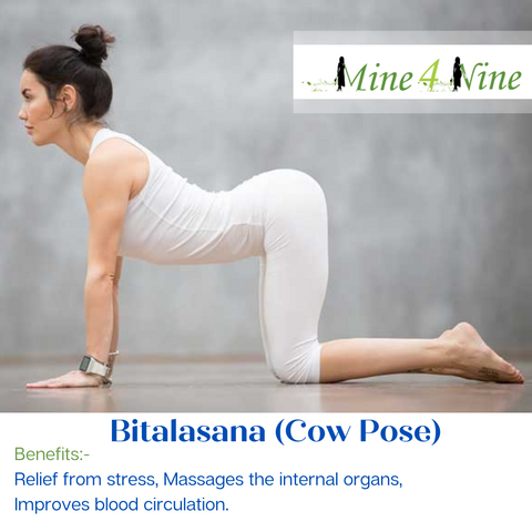 Benefits of Cat Cow Pose (Bitilasana Marjaryasana) | Yoga in Nepal | Yoga  Training School |